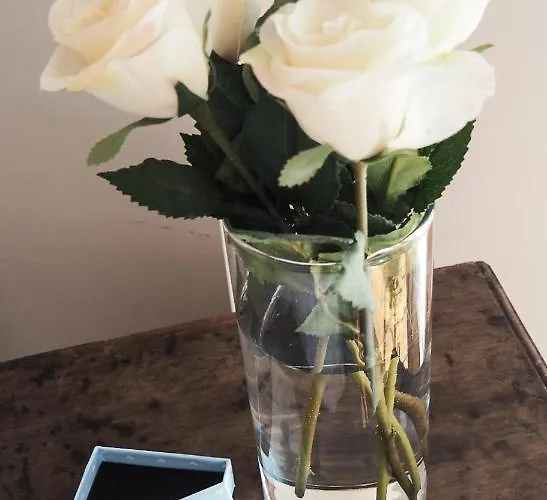 Rural La Concordia 4* Monzón de Campos